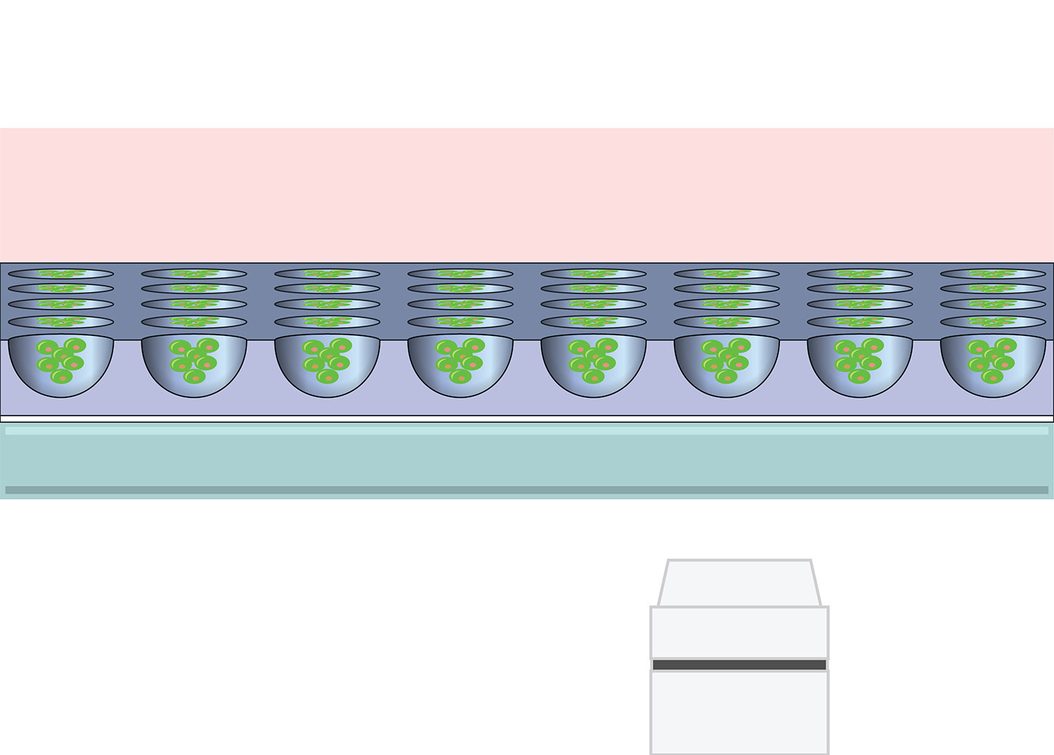 Graphic Design by Titan Solbiz for Microsurfaces | Design #18462111