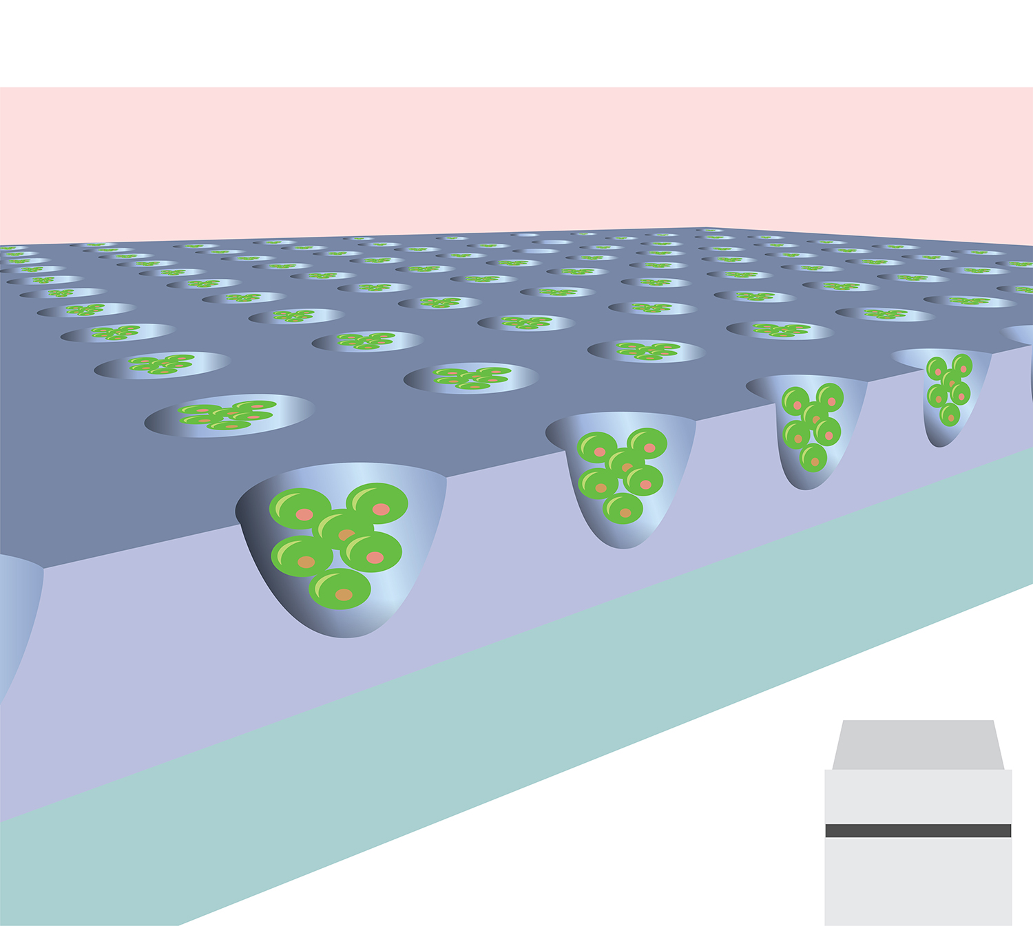 Graphic Design by Titan Solbiz for Microsurfaces | Design #18464816