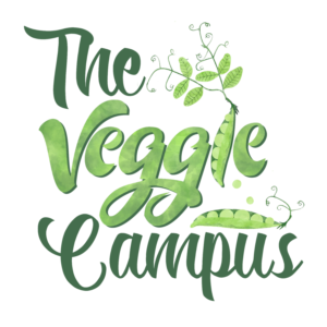 Logo Design by Foxelate