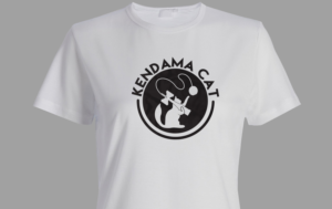 Logo Design by Wonderful design