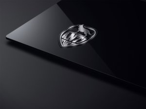 Design de Logo par baqar.110panhwar pour ce projet | Design : #18483311