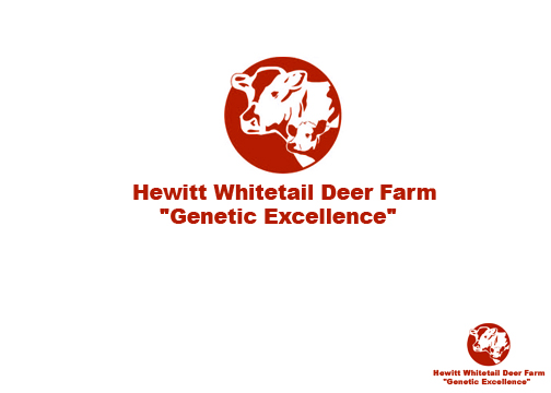 Diseño de Logo por g.swann para este proyecto | Diseño #2817409