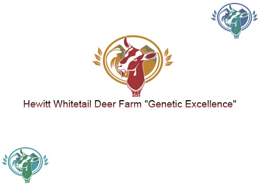 Diseño de Logo por g.swann para este proyecto | Diseño #2824890