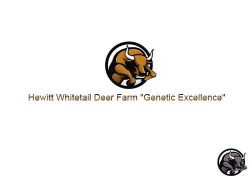 Diseño de Logo por g.swann para este proyecto | Diseño #2824899