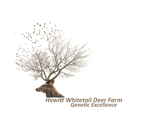 Design de Logo par adeelrashid pour ce projet | Design #2834452