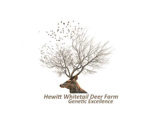 Logo Design by adeelrashid for this project | Design #2834455