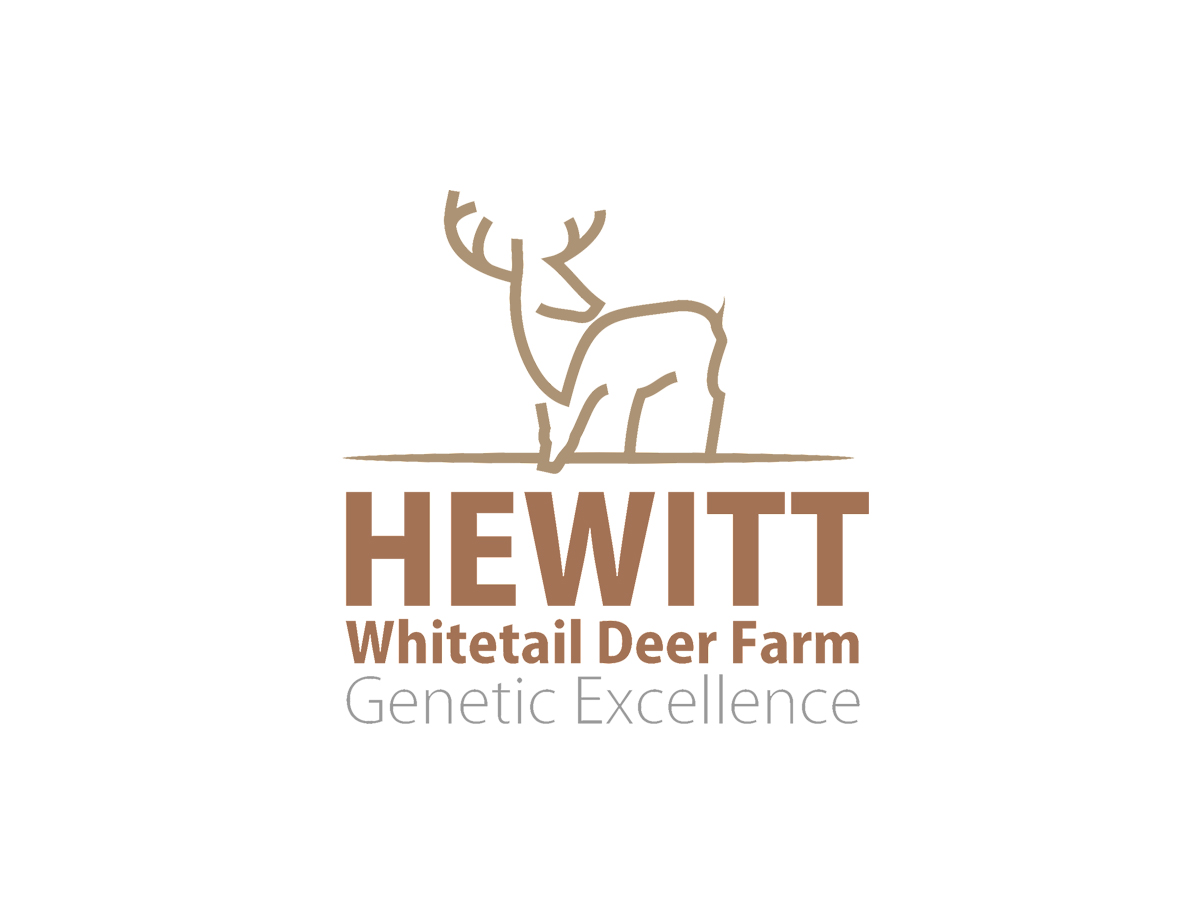 Logo Design by vladst2004 for this project | Design #2815365