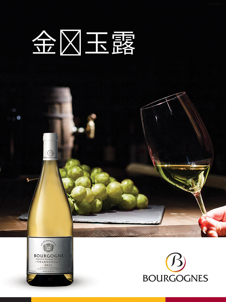 Poster-Design von Canvastudio für AVIAREPS | Design #18619057