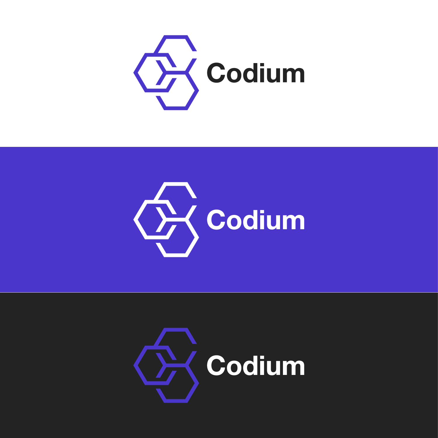 Logo Design by Hande Sid for Codium Team S.L. | Design #18575201