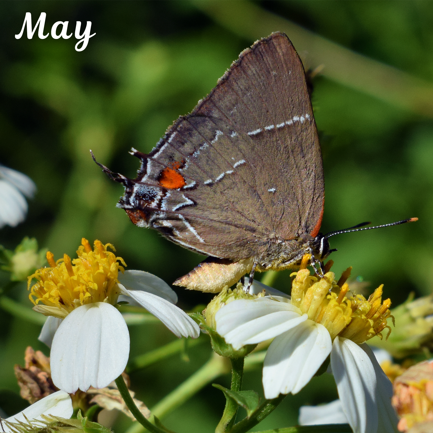 Photography by Larah McElroy for DesignCrowd (Community Contests) | Design #18513063