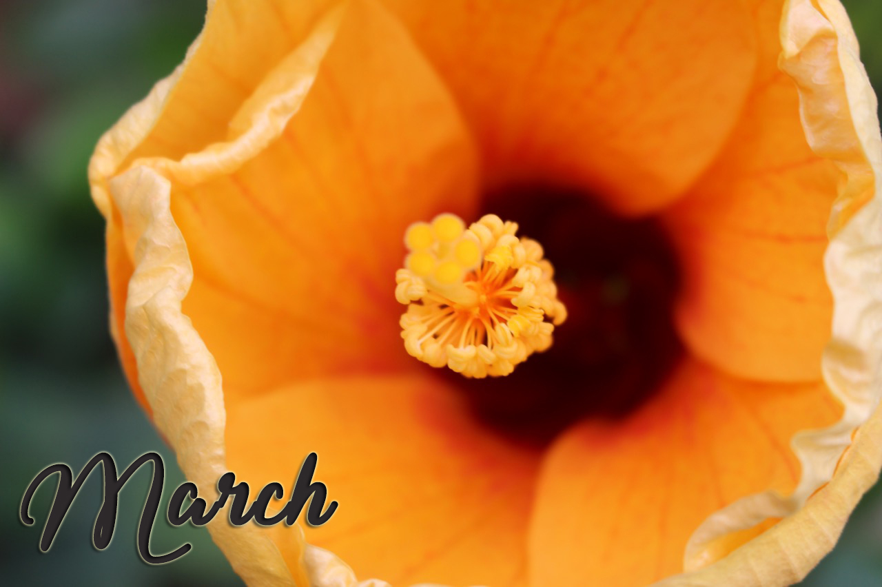 Photography by GMP for DesignCrowd (Community Contests) | Design #18522525