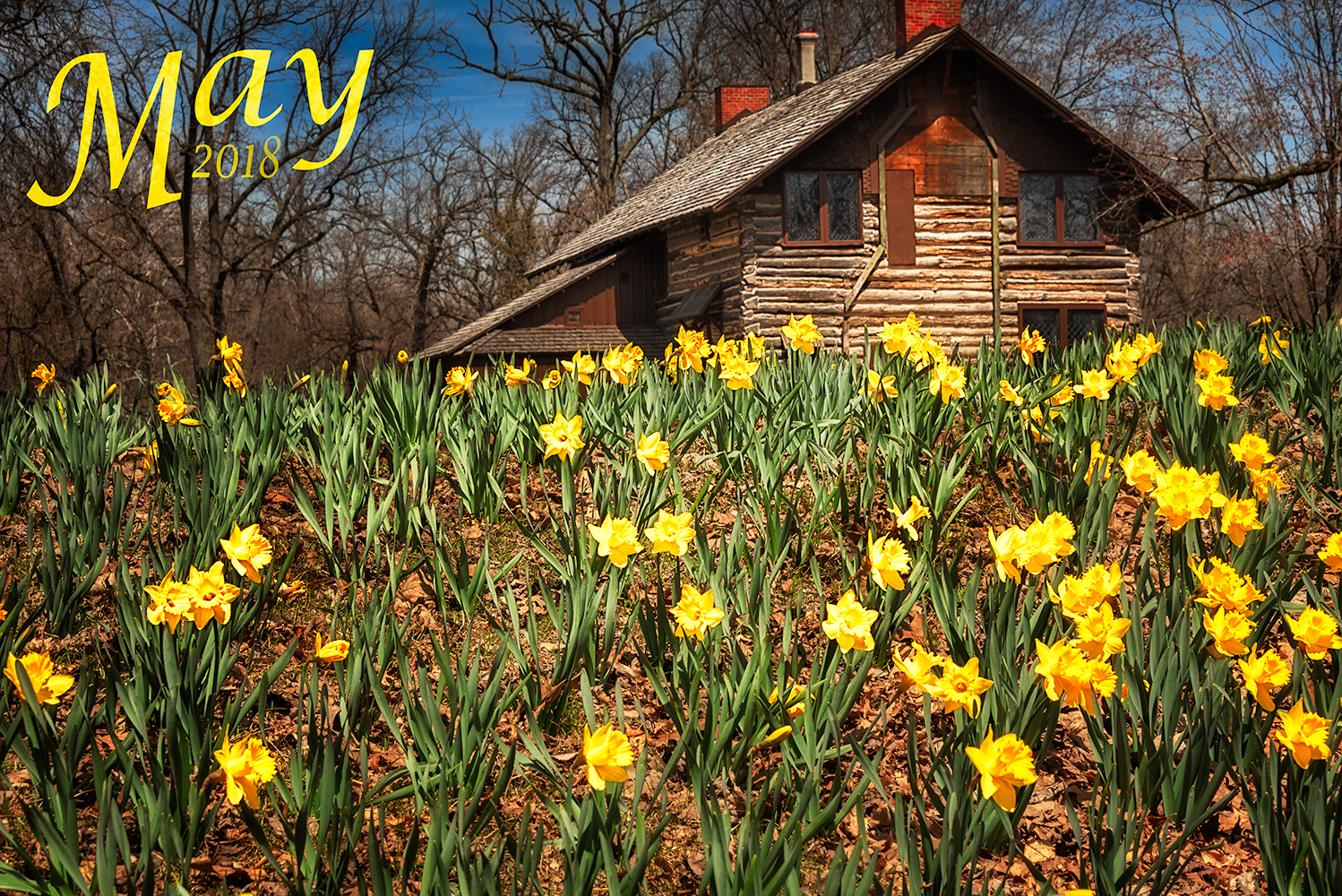 Photography by Manson Nellum for DesignCrowd (Community Contests) | Design #18577568