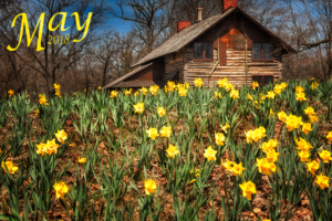 Photography by Manson Nellum