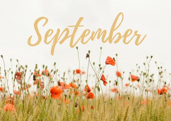 Photography by Stacee C for DesignCrowd (Community Contests) | Design #18478565