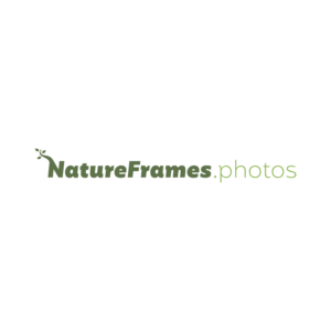 Logo Design by masher for this project | Design: #18452306