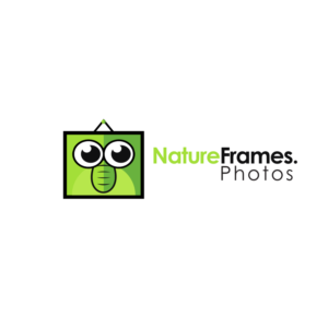 Logo Design by mike edan for this project | Design: #18558312
