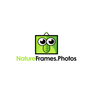 Logo Design by mike edan for this project | Design: #18558313