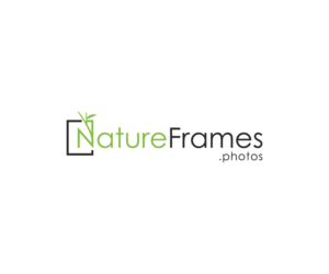 Logo Design by sourgraping for this project | Design: #18494192