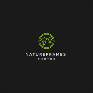 Logo Design by kaschenko.oleg for this project | Design: #18583709