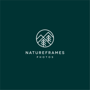 Logo Design by kaschenko.oleg for this project | Design #18583819