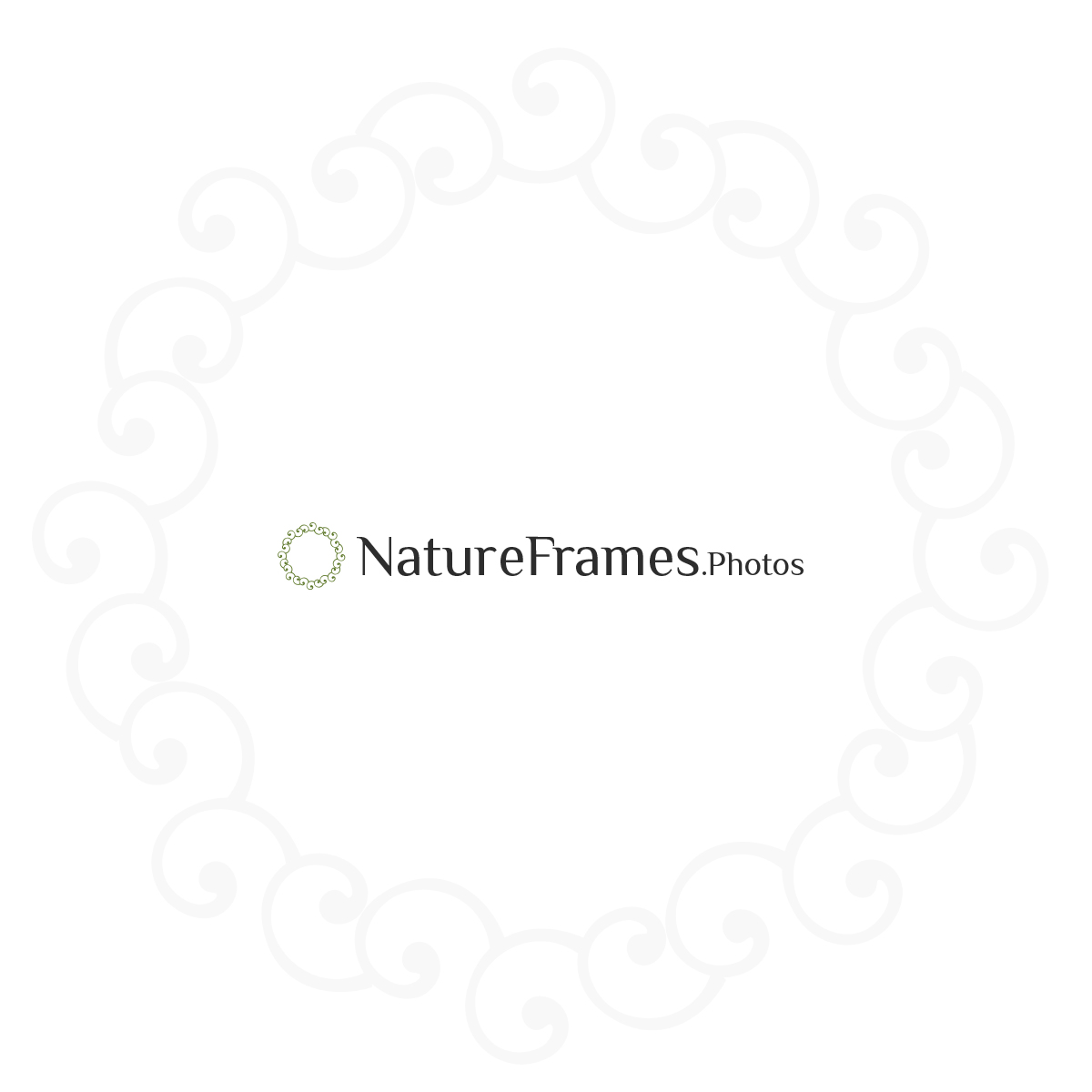 Design de Logo par logo_s pour ce projet | Design #18448555