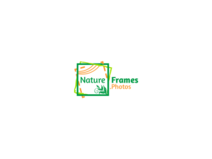 Logo Design by JohnM. for this project | Design: #18445670