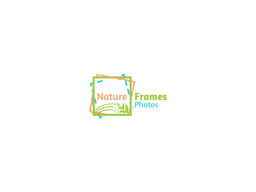 Logo Design by JohnM. for this project | Design #18445725
