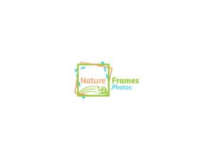 Logo Design by JohnM. for this project | Design: #18445725