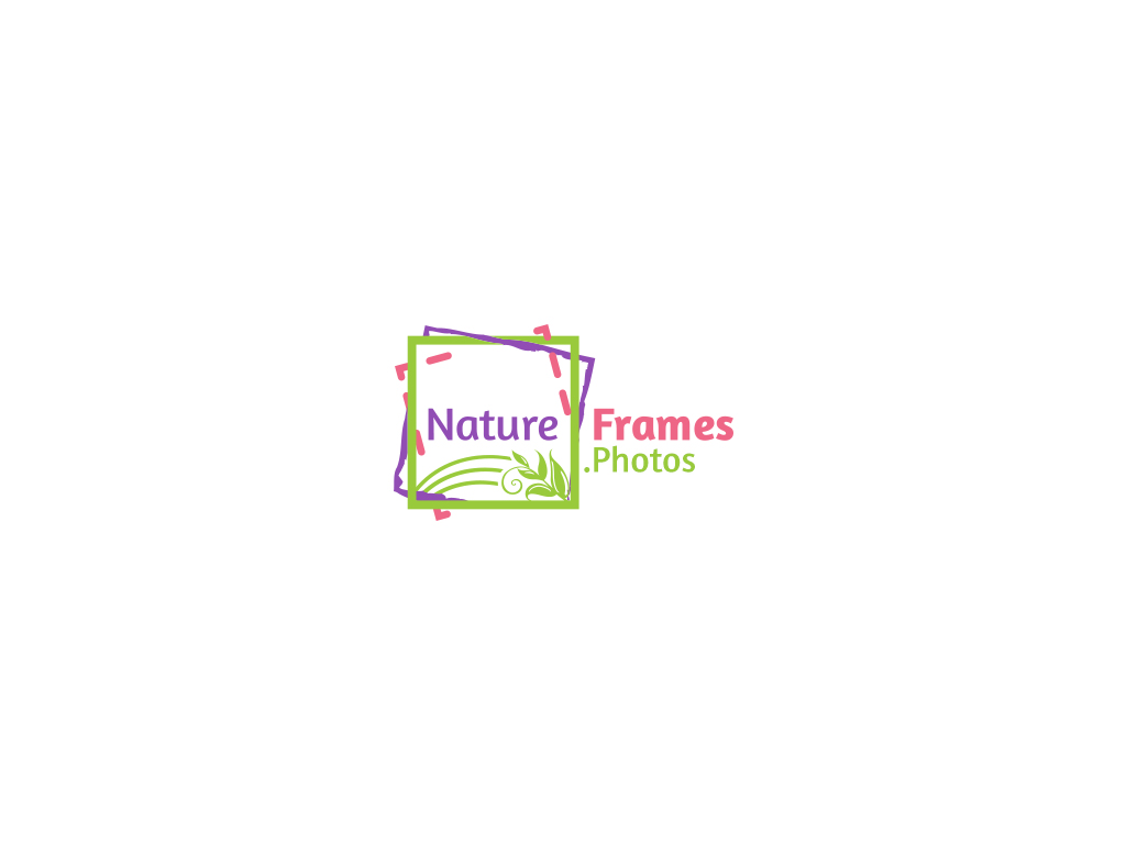 Logo Design by JohnM. for this project | Design #18445744