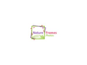 Logo Design by JohnM. for this project | Design: #18445744