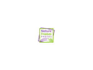 Logo Design by JohnM. for this project | Design: #18452648
