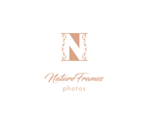 Logo Design by Preethu for this project | Design: #18535887