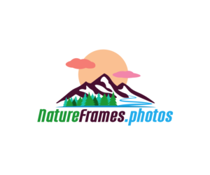 NatureFrames.Photos | Logo Design by ACK Design