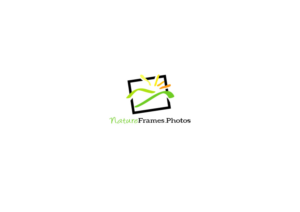 Logo Design by ~idiaz~ for this project | Design: #18513451