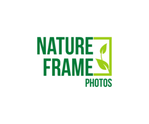 Logo Design by ezenti for this project | Design: #18475486