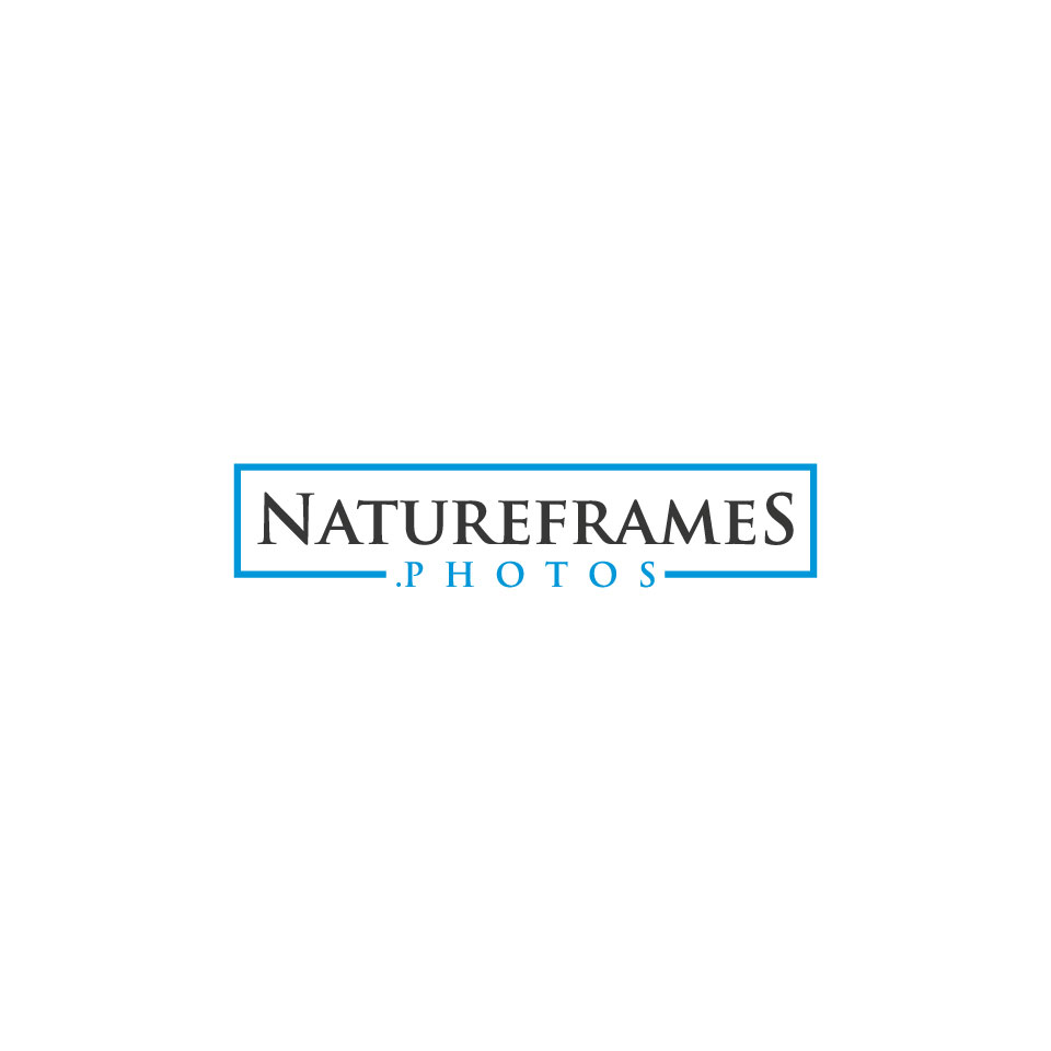 Logo Design by baki99 for this project | Design #18576987