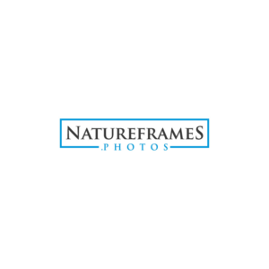 Logo Design by baki99 for this project | Design: #18576987