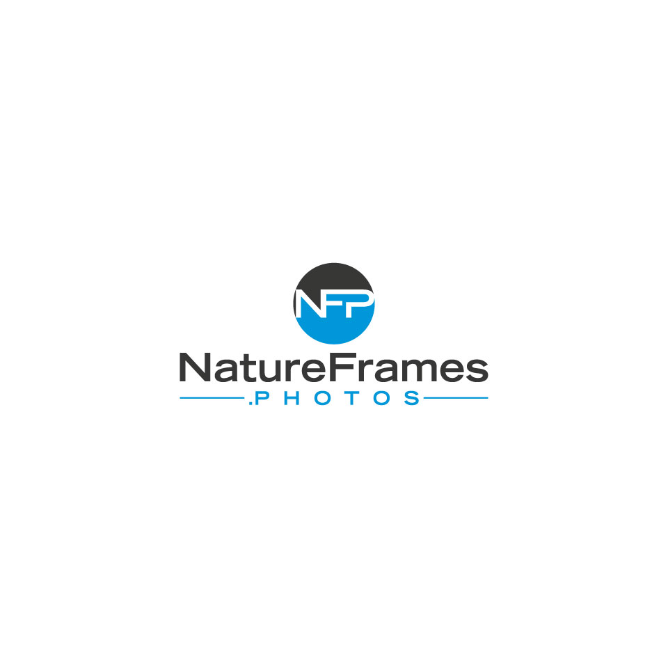 Logo Design by baki99 for this project | Design #18576988