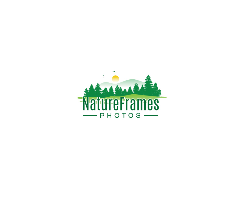 Logo Design by instudio for this project | Design #18440640