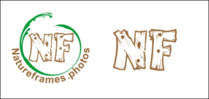 Logo Design by Solutions