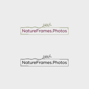 Logo Design by medi122 for this project | Design: #18508053