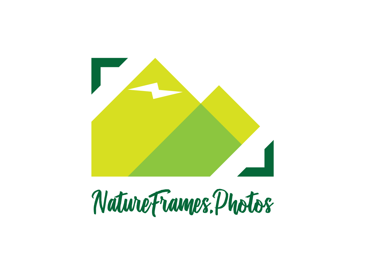 Logo Design by JasonMaricArt for this project | Design #18464378