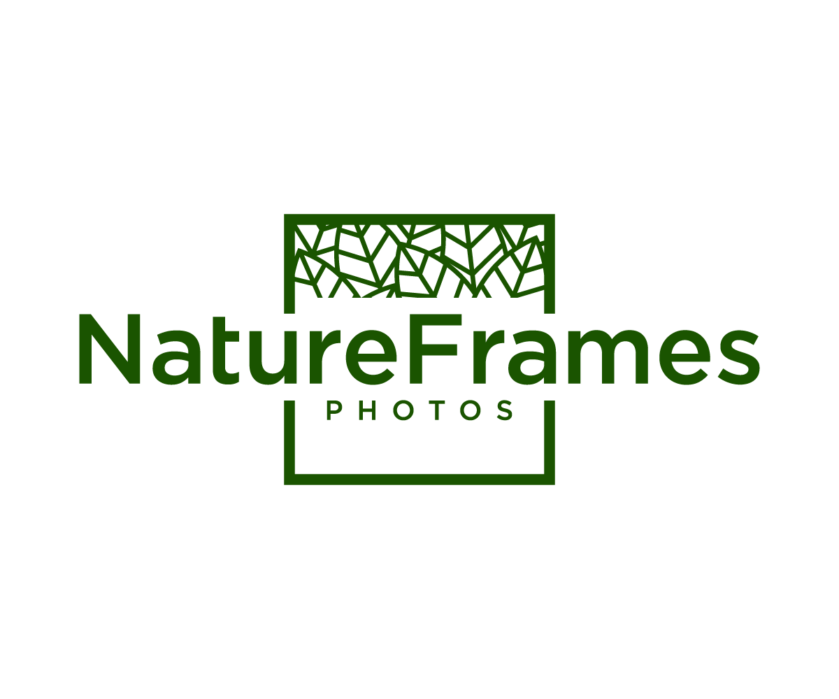 Logo Design by NineOwl for this project | Design #18488808