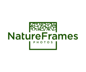 Logo Design by NineOwl for this project | Design: #18488808