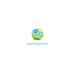 Logo Design by Ves-Boycheva for this project | Design: #18569209
