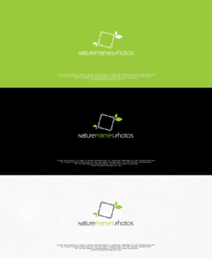 NatureFrames.Photos | Logo Design by OlgiCh