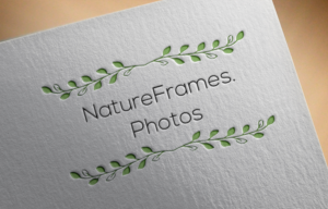 Logo Design by Kingdom Vision for this project | Design: #18481064