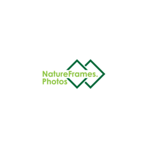 Logo Design by adi.prazz17 for this project | Design: #18556761