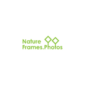 Logo Design by adi.prazz17 for this project | Design: #18557086
