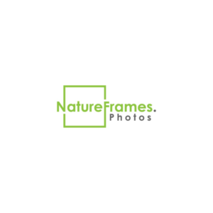 Logo Design by adi.prazz17 for this project | Design: #18557177
